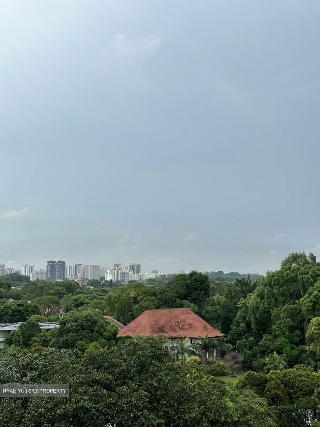 Leedon Residence (D10), Condominium #532718381
